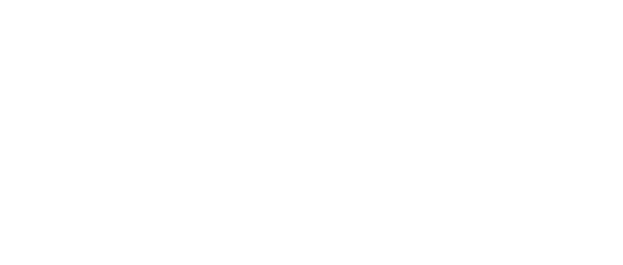 Grupo Roisa
